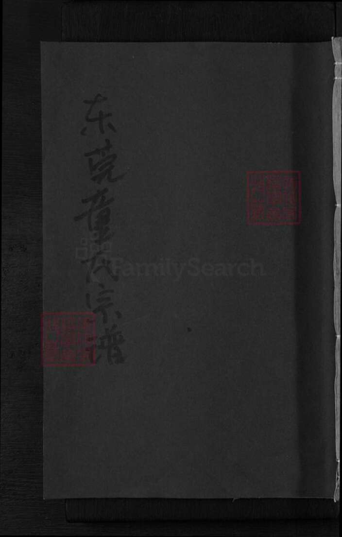 广东省东莞市童氏处仁堂族谱-东莞童氏宗谱.pdf电子版缩略图