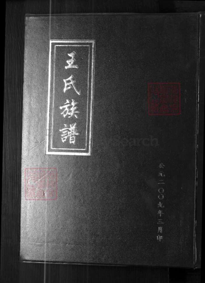 山东省淄博市博山区王氏族谱-王氏族谱.pdf电子版缩略图