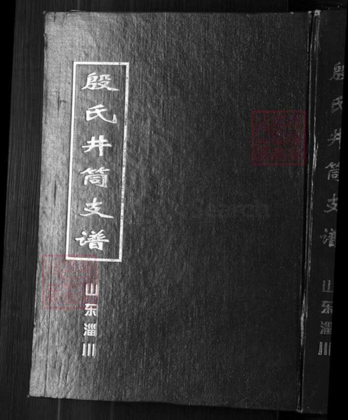 山东省淄博市淄川区殷氏族谱-殷氏井筒支谱.pdf电子版缩略图