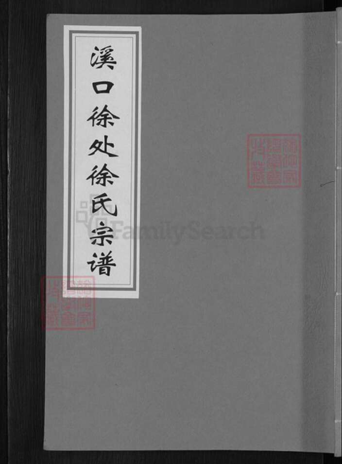 浙江省金华市武义县武义徐氏族谱-溪口徐处徐氏宗谱.pdf电子版缩略图