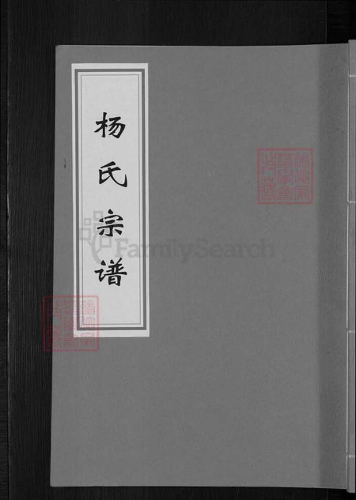 安徽省蚌端口市怀远县杨氏族谱-杨氏宗谱.pdf电子版缩略图