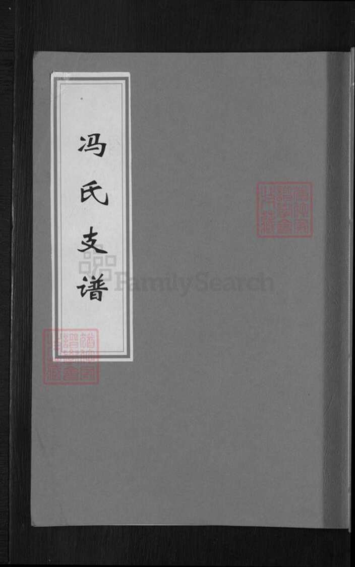 湖南省衡阳市衡南县廖田镇冯氏始平堂族谱-冯氏支谱.pdf电子版缩略图