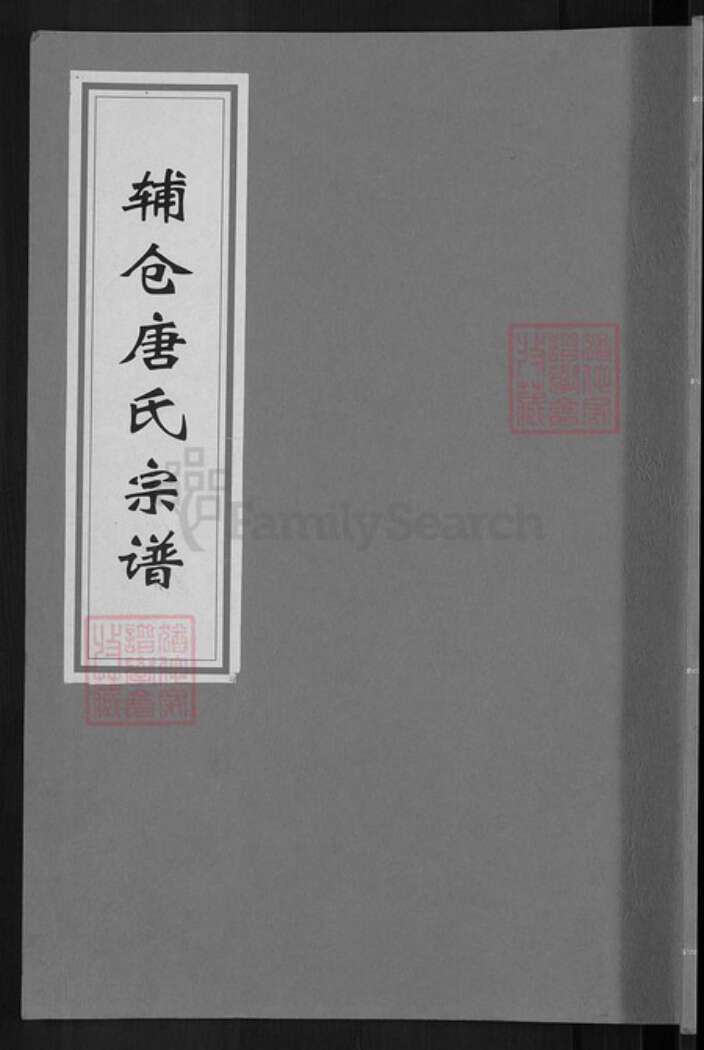 浙江省金华市婺城区唐氏报本堂族谱-辅仓唐氏宗谱.pdf电子版缩略图