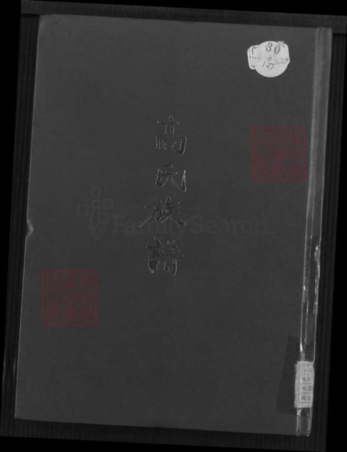 福建省泉州市安溪县大坪乡高氏族谱-高氏族谱.pdf电子版缩略图