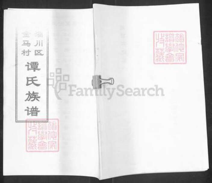 山东省淄博市淄川区谭氏族谱-淄川区金马村谭氏族谱.pdf电子版缩略图