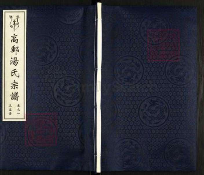 江苏省扬州市高邮市汤庄镇汤氏三益堂族谱-高邮汤氏宗谱.pdf电子版缩略图