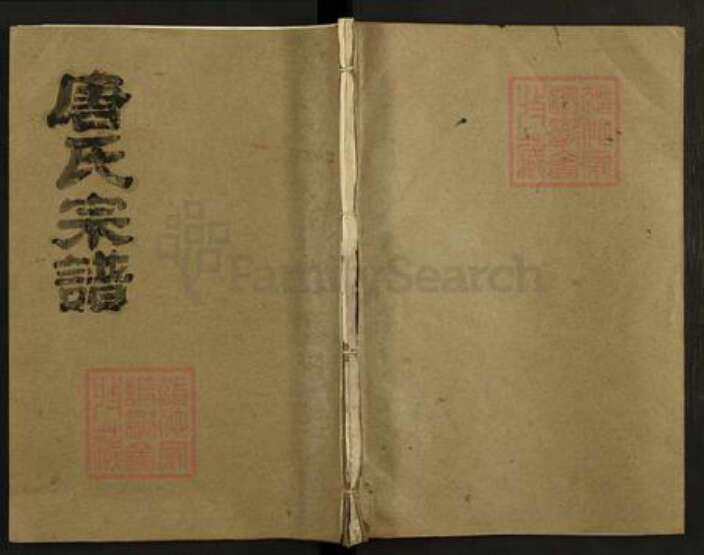 湖北省仙桃市唐氏晋阳堂族谱-唐氏宗谱.pdf电子版缩略图