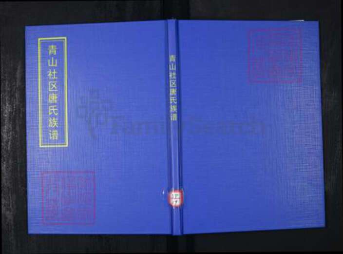 山东省青岛市崂山区唐氏族谱-青山社区唐氏族谱.pdf电子版缩略图