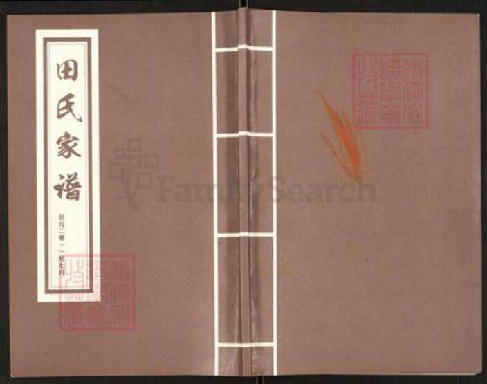 河南省郑州市中牟县田氏族谱-田氏家谱.pdf电子版缩略图