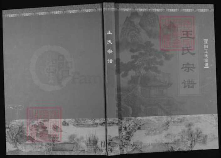 河南省濮阳市华龙区王氏族谱-濮阳王氏宗谱.pdf电子版缩略图