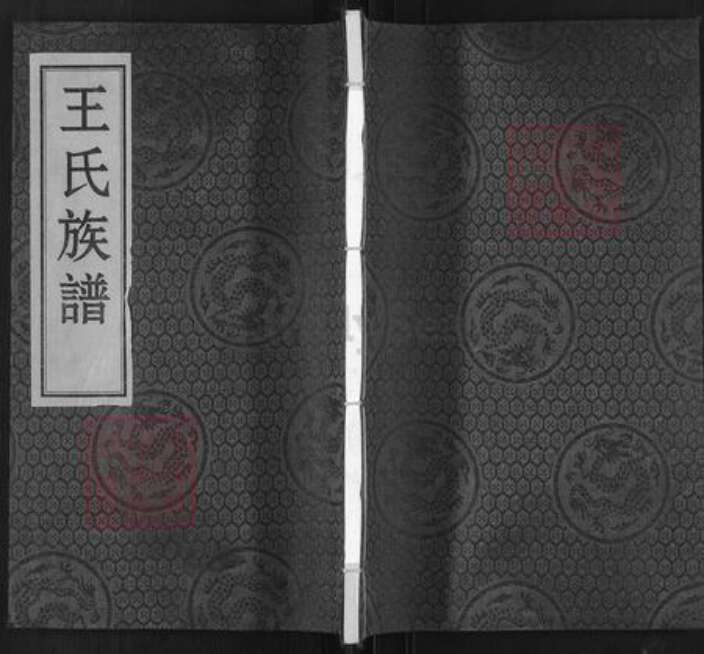 河北省沧州沧州地区南皮王氏族谱-王氏族谱.pdf电子版缩略图