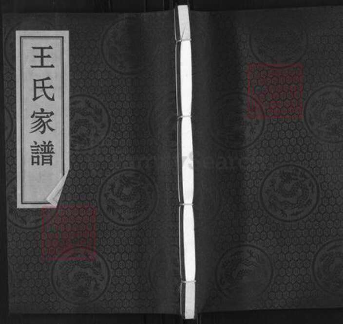 河北省沧州黄骅市黄骅镇王氏族谱-王氏家谱.pdf电子版缩略图