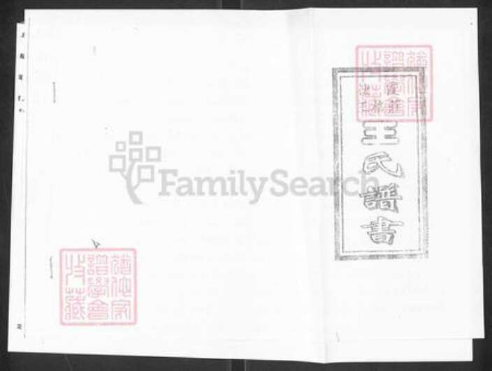 山东省烟台市栖霞市庄园街道王氏族谱-王氏谱书.pdf电子版缩略图