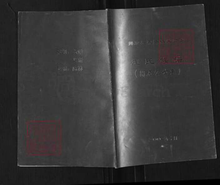 广东省揭阳市揭东区霖磐镇王氏族谱-王氏族谱.开石公世系.pdf电子版缩略图