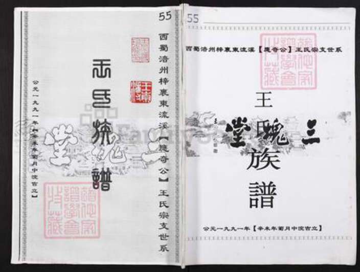 重庆市涪陵区王氏三槐堂族谱-王氏族谱.西蜀涪州榟里东流溪(应奇公)王氏宗支世系.pdf电子版缩略图