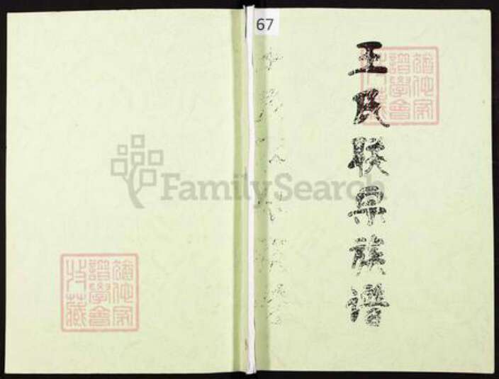 四川省遂宁市安居区王氏三槐堂族谱-王氏联宗族谱.pdf电子版缩略图