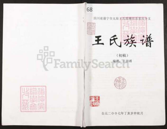 重庆市潼南区柏梓镇王氏族谱-王氏族谱.四川省遂宁市太原王氏琅琊世系重庆分支.pdf电子版缩略图