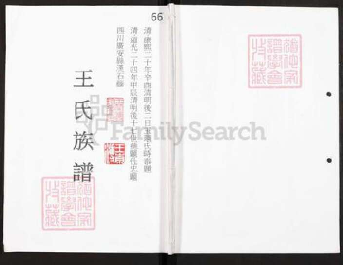 四川省广安市广安区王氏族谱-王氏族谱.pdf电子版缩略图