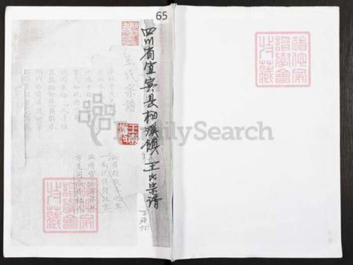 四川省宜宾市叙州区王氏族谱-四川省宜宾县柏溪镇王氏宗谱.pdf电子版缩略图