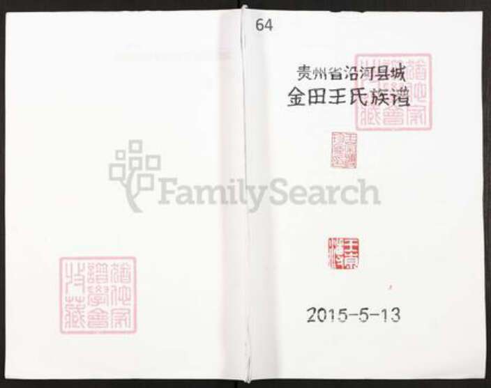 贵州省铜仁市铜仁市王氏族谱-贵州省沿河县城金田王氏族谱.pdf电子版缩略图