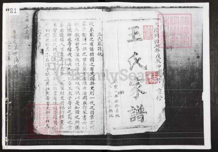 四川省泸州市江阳区王氏族谱-王氏家谱.pdf电子版缩略图