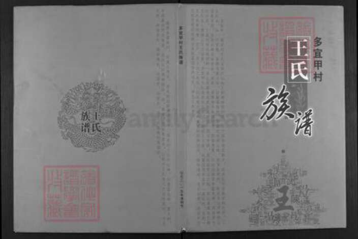 云南省昆明市富民县王氏族谱-王氏族谱.pdf电子版缩略图