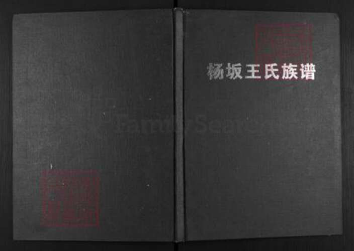 福建省福州市闽清县坂东镇王氏族谱-杨坂王氏族谱.pdf电子版缩略图