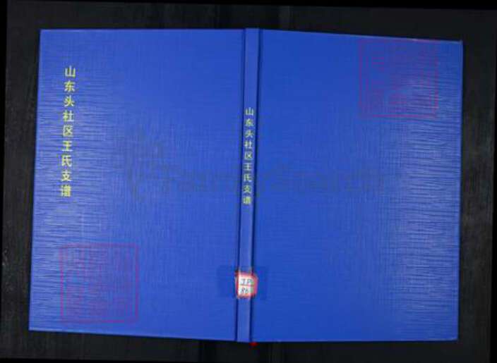 山东省青岛市崂山区王氏族谱-山东头社区王氏支谱.pdf电子版缩略图