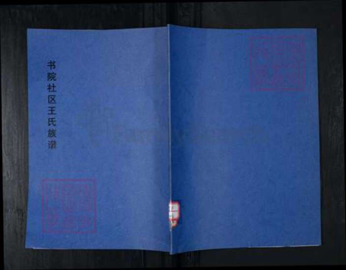 山东省青岛市崂山区王氏族谱-书院社区王氏族谱.pdf电子版缩略图