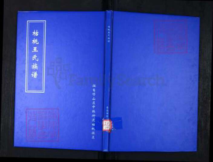 山东省青岛市崂山区王氏族谱-枯桃王氏族谱.pdf电子版缩略图