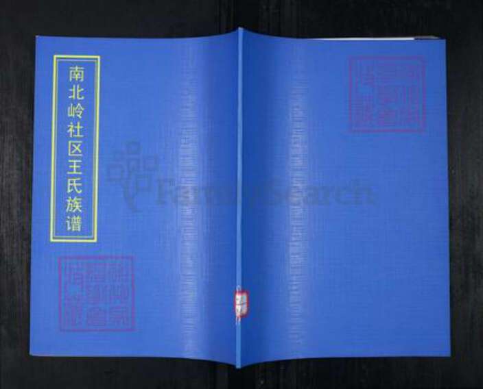 山东省青岛市崂山区王氏族谱-南北岭社区王氏族谱.pdf电子版缩略图