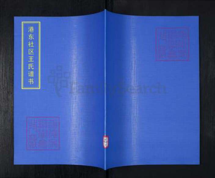 山东省青岛市崂山区王氏族谱-港东社区王氏谱书.pdf电子版缩略图