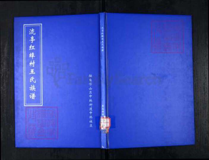 山东省青岛市王氏族谱-流亭红端口村王氏族谱.pdf电子版缩略图