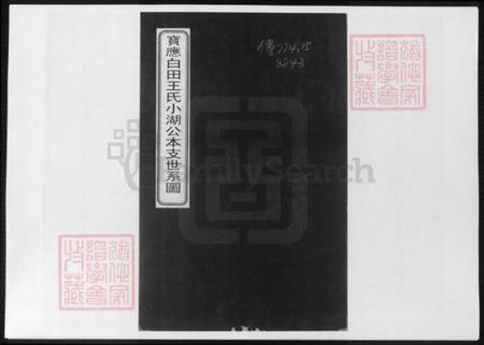 江苏省扬州市王氏族谱-宝应白田王氏小湖公本支世系图.pdf电子版缩略图