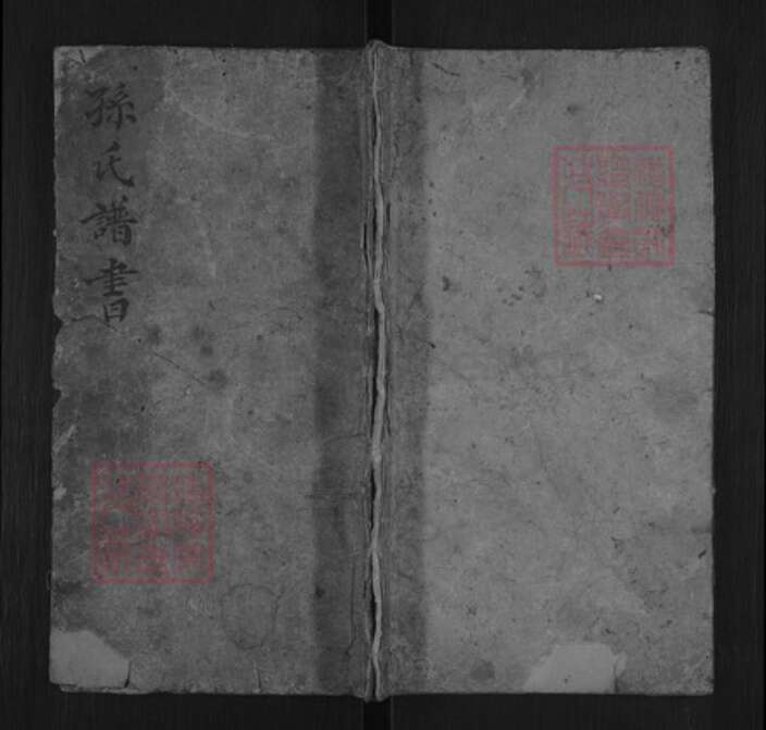 山东省孙氏族谱-孙氏谱书.pdf电子版缩略图