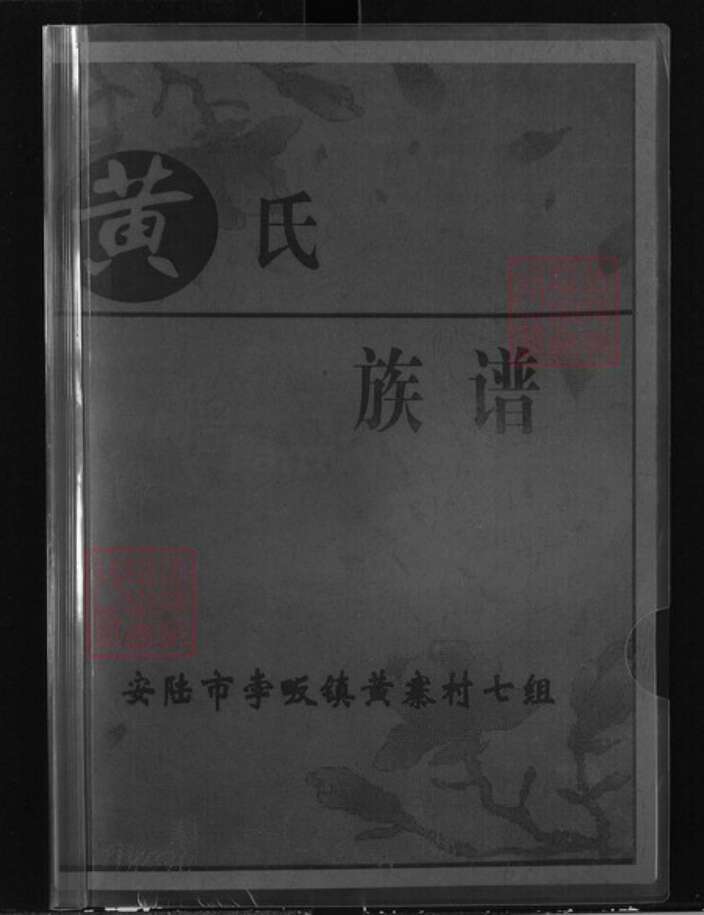 湖北省孝感市安陆市孛畈镇黄氏族谱-黄氏族谱.pdf电子版缩略图