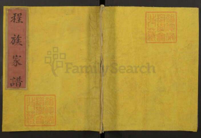 河南省程氏族谱-程族家谱.pdf电子版缩略图