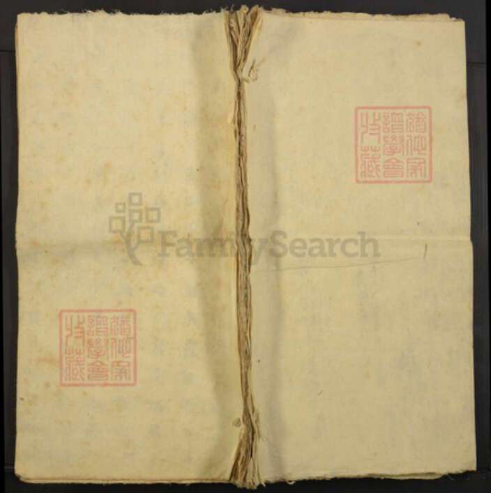 山西省王氏族谱-王氏宗谱.pdf电子版缩略图