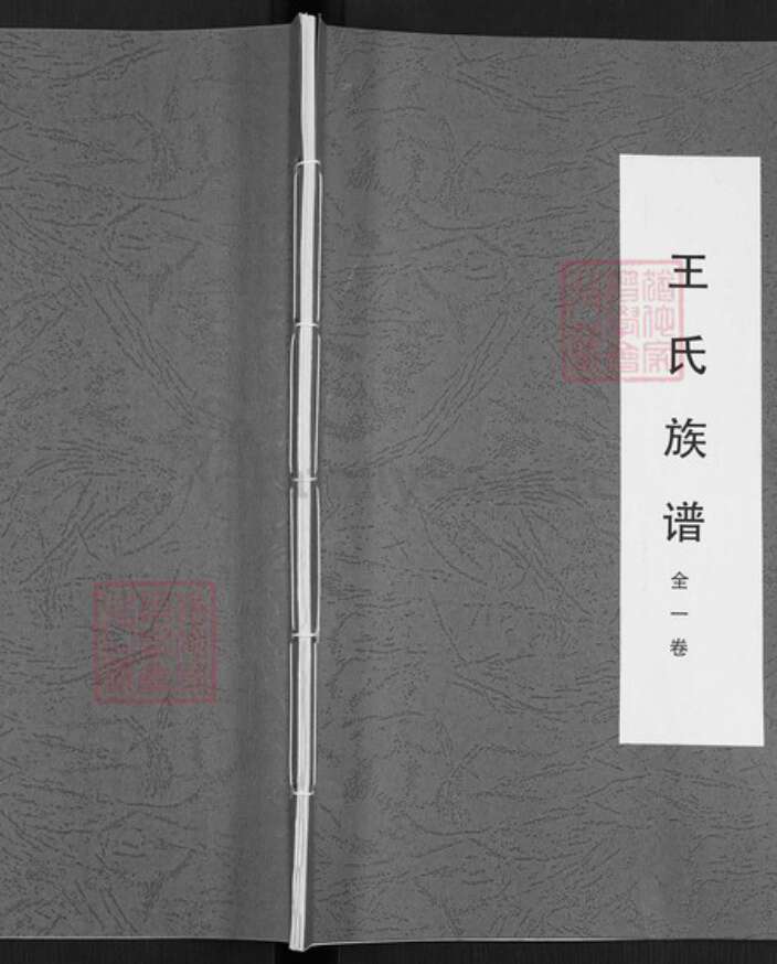 山东省泰安市东平县州城街道王氏族谱-王氏族谱.pdf电子版缩略图