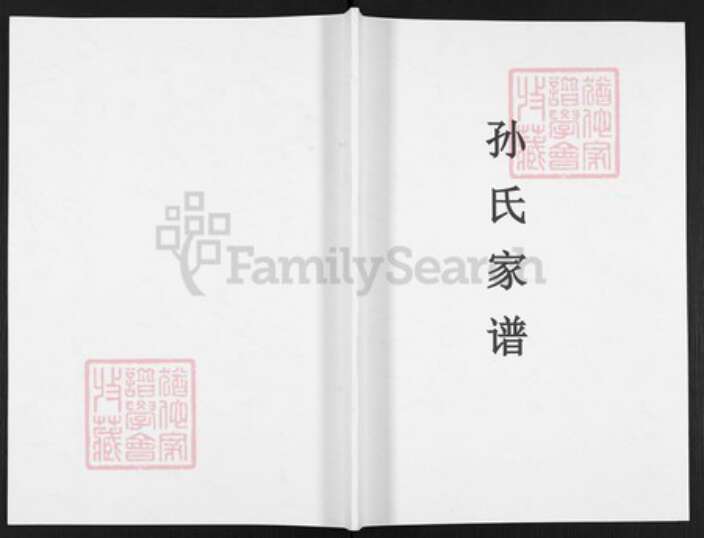 河南省濮阳市华龙区河南省濮阳市濮阳县文留镇孙；孙氏族谱-孙氏家谱.pdf电子版缩略图