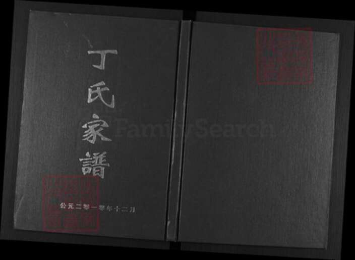 四川省遂宁市蓬溪县湖南省丁氏族谱-丁氏家谱.pdf电子版缩略图