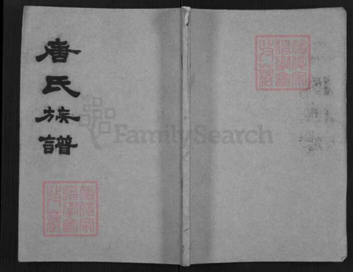 湖南省常德市唐氏族谱-唐氏族谱.pdf电子版缩略图