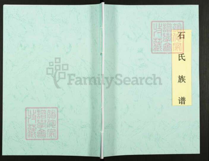 山东省枣庄市滕州市石氏族谱-鲁南滕州市大石楼村石氏.pdf电子版缩略图