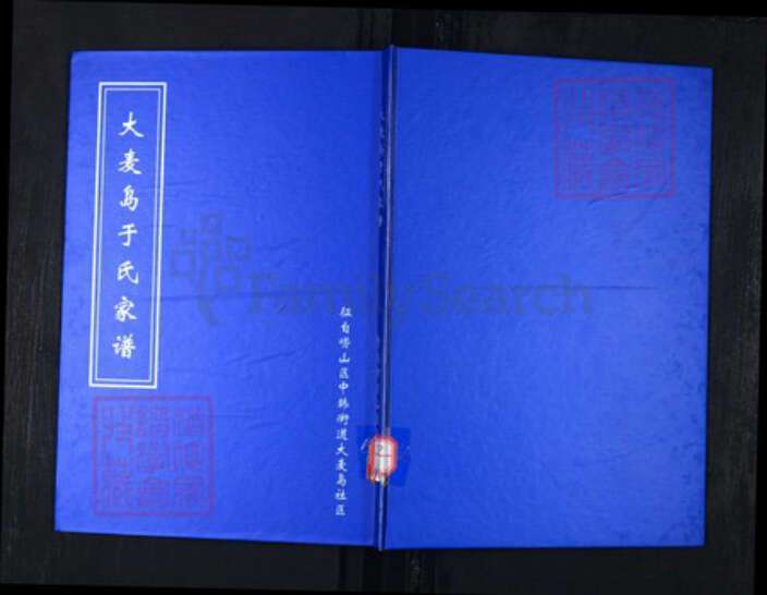 山东省青岛市崂山区于氏族谱-于氏家谱.pdf电子版缩略图