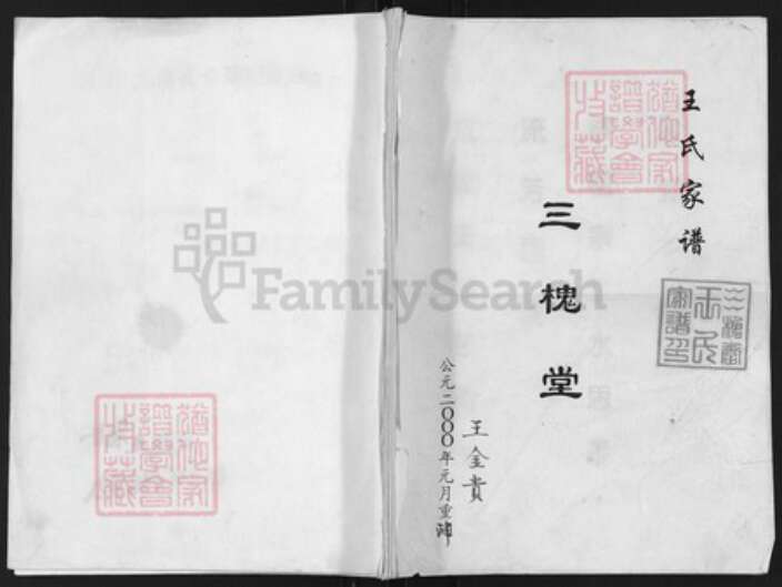 江苏省扬州市高邮市三垛镇王氏三槐堂族谱-王氏家谱.pdf电子版缩略图