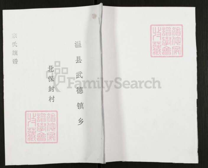 河南省焦作市温县武德镇宗氏族谱-宗氏族谱.pdf电子版