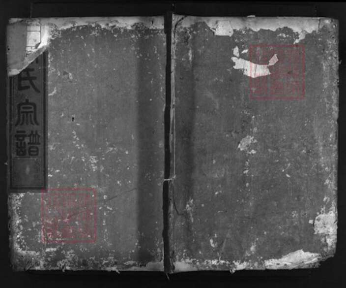 浙江省徐氏族谱-絣塘山背徐氏宗谱 [残卷不分卷].pdf电子版缩略图