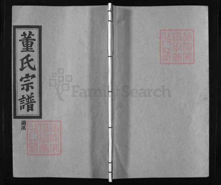 浙江省董氏族谱-陇西郡董氏宗谱 [不分卷].pdf电子版缩略图