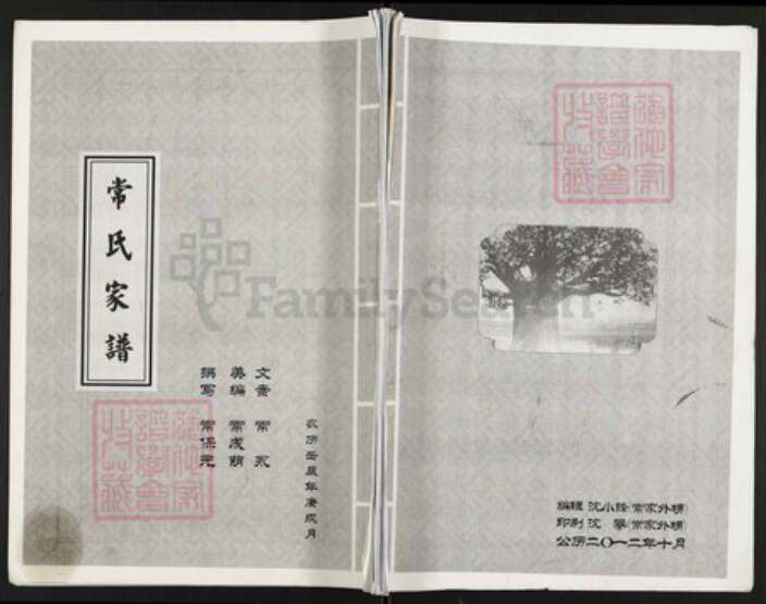 河北省邯郸市成安县商城镇河北省邯郸市邯郸常氏族谱-常氏家谱.pdf电子版缩略图