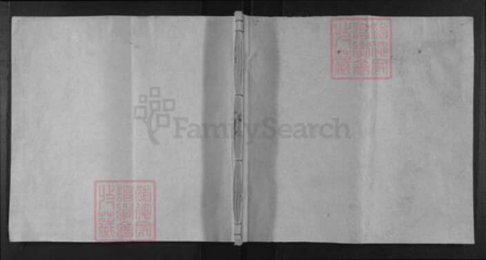 福建省李氏族谱-李氏族谱.pdf电子版缩略图